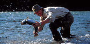 angler catching fish